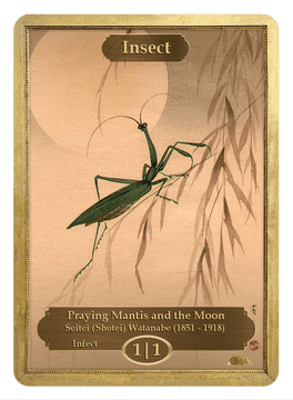 Insect Elegance Praying Mantis Under the Moon PNG