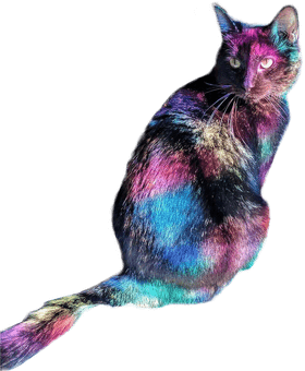 Galactic Rainbow Cat PNG