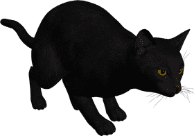 Stealthy Shadow Cat on the Prowl PNG