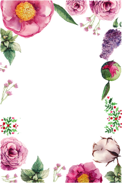 Elegant Flower Frame of Spring Blooms PNG