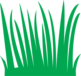 Vibrant Green Grass Harmony PNG