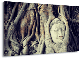 Buddha Embraced by Ancient Roots PNG