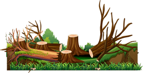 Fallen Tree Landscape with Stumps and Branches PNG