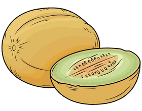 Fresh Melon Slice Delight PNG