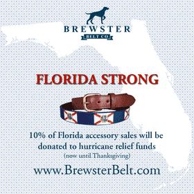 Florida Strong Pet Collar for Hurricane Relief PNG