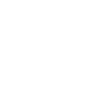 Amusement Park Adventures and Thrills Await PNG