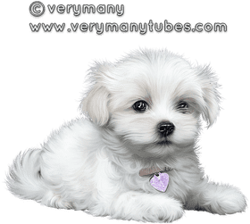 Adorable Fluffy Dog Companion PNG