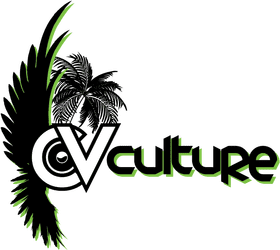 CV Culture Elevating Your Professional Brand PNG