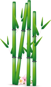 Serenity in the Bamboo Forest Garden PNG