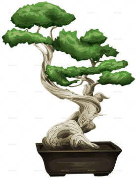 Whimsical Bonsai Tree of Serenity PNG