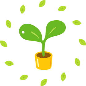 Ecology of Growth Nurturing Nature's Future PNG