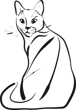 Elegant Whisper of the Cat PNG