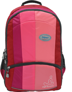 Colorful School Backpack for Young Learners PNG