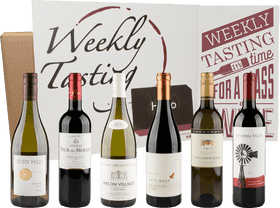 Assorted Wine Bottle Tasting Collection PNG