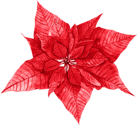 Crimson Leaf of Joy PNG