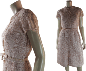 Elegant Floral Lace Cloth Dress PNG