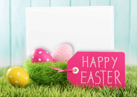Festive Grass Nest with Easter Eggs PNG