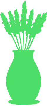 Vase of Vibrant Green Wheat Stalks PNG