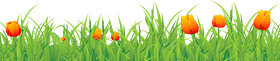 Vibrant Tulips Nestled Among Lush Grass PNG