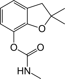 Vibrant Market Stall of Fresh Local Produce PNG