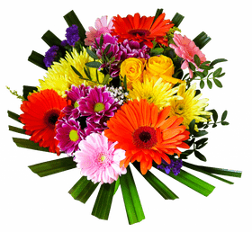 Vibrant Celebration of Colorful Flowers PNG
