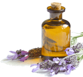 Essence of Lavender Field Serenity PNG