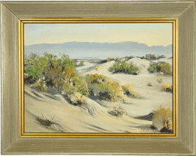 Whispers of Serenity in the Desert Landscape PNG