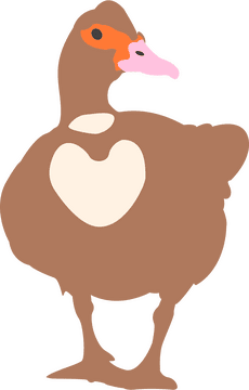 Whimsical Rubber Duck Delight PNG