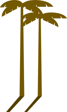 Tropical Elegance Two Majestic Trees PNG