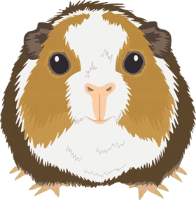 Cute and Cozy Pet Stuff for Small Furry Friends PNG