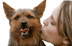 Joyful Moments Pet Stuff for Loving Companions PNG