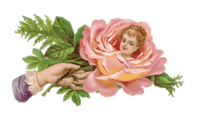 Whimsical Blossom A Flower's Embrace PNG