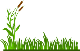 Serene Marshland with Graceful Grass PNG