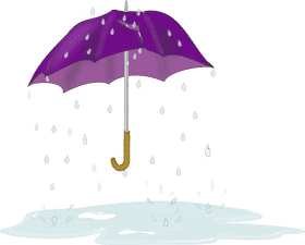 Colorful Rain Boots for Gloomy Weather PNG