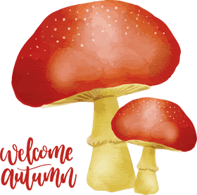 Warm Mushroom Soup for Cozy Autumn Days PNG