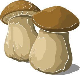 Delicious Creamy Mushroom Soup Delight PNG