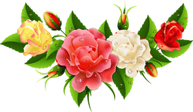Blooming Flower Symphony of Colors PNG