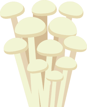 Delicate White Mushroom Cluster PNG