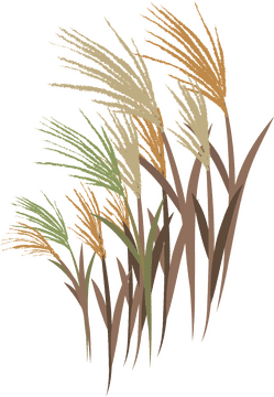 Vibrant Grassland with Golden Tips PNG