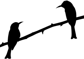 Silhouetted Birds on a Branch at Dusk PNG