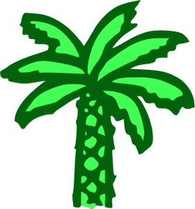 Lush Green Palm Tree in Tropical Paradise PNG