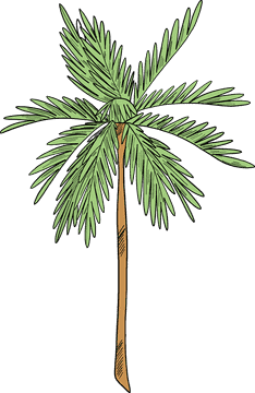 Sunshine Oasis with a Palm Tree PNG