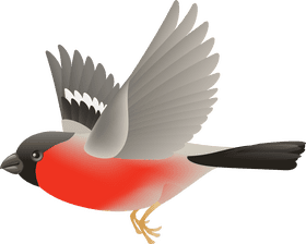 Colorful Flying Bird of the Forest PNG
