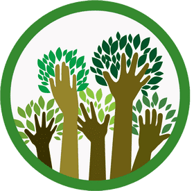 Forest of Hope and Renewal PNG