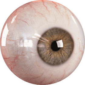 Captivating Eye with Intricate Details PNG