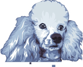 Fluffy Blue Pet Collar for Stylish Dogs PNG