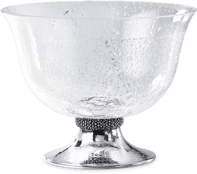 Elegant Transparent Pasta Bowl with Silver Base PNG