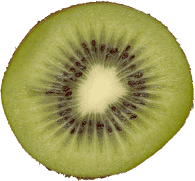 Freshly Sliced Kiwi Fruit Delight PNG