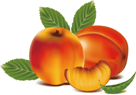 Peach Blossom Delight A Juicy Embrace of Spring PNG