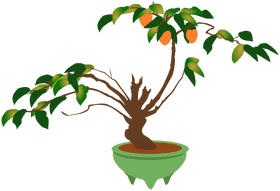 Vibrant Bonsai Tree with Fruitful Branches PNG